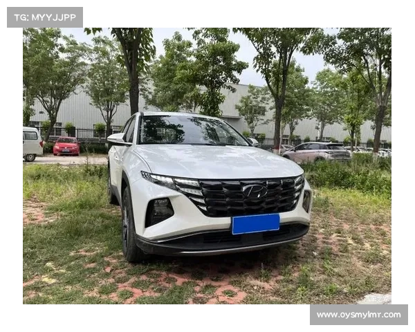 全新途胜1.5T+8AT 黄金动力高性能 低油耗 少排放